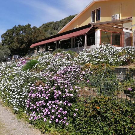 Hotel Il Lentischio Cala Sapone Exterior foto